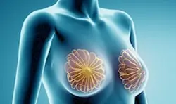 Meme biyopsisinde radyoloğun rolü nedir?