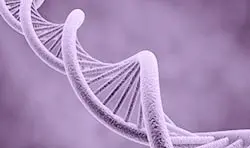 BRCA, Genetik Meme Kanseri Testleri